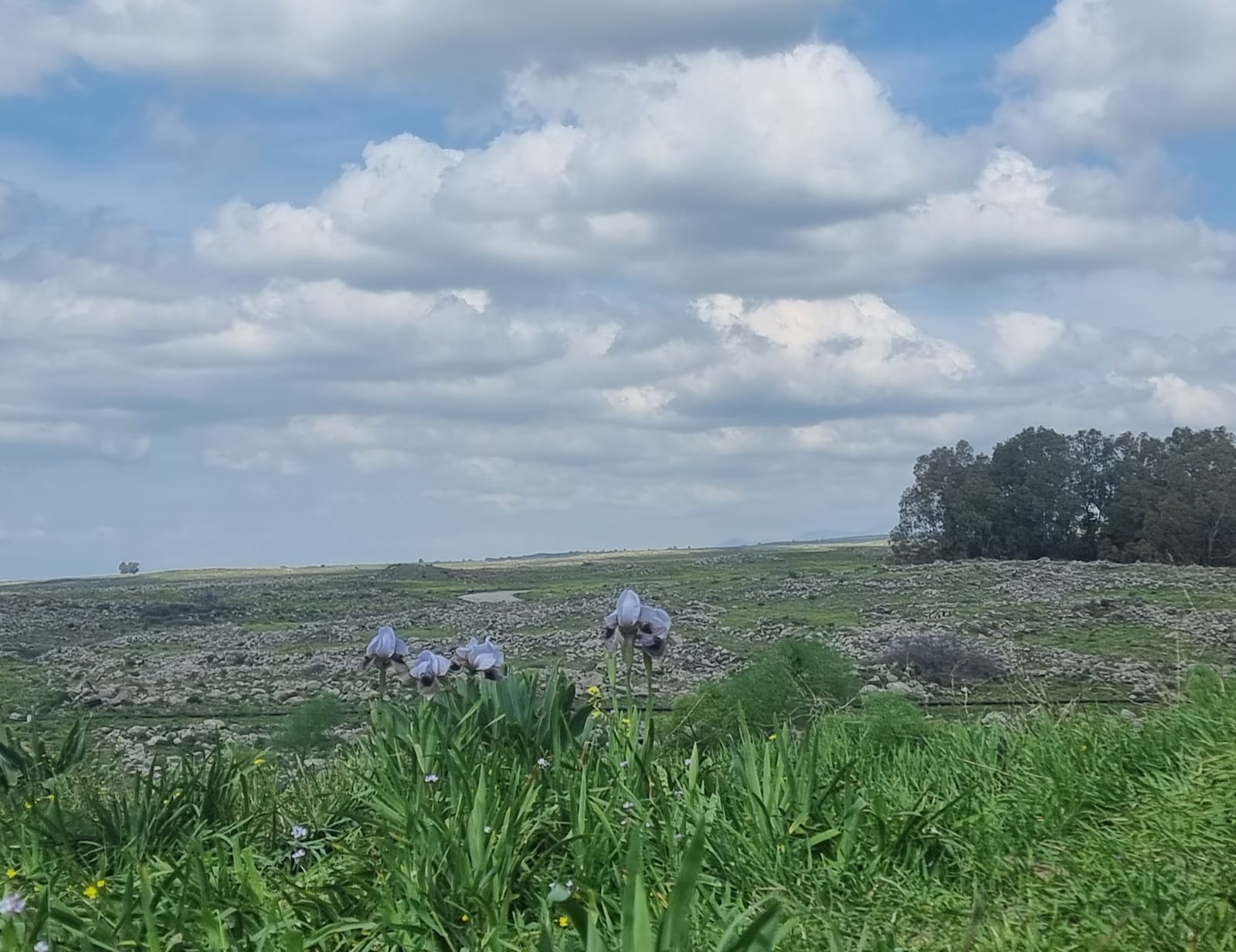 לפתיחת פנייה לחצו על "למידע נוסף"